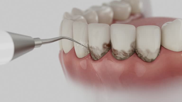 Reliable Dental contractor in Ten Mile Creek, MD by Dentist Open Now